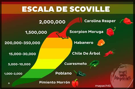 En ésta imagen podemos comparar algunos de los chiles más populares como el pimiento morrón ...