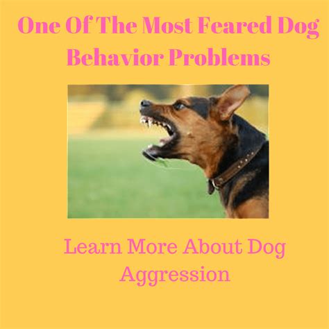 Aggression - One Of The Most Feared Dog Behavior Problems | Puppy and ...