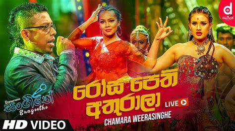 Rosa Pethi Athurala - Chamara Weerasinghe | Sinhala Live Show Songs | Sinhala Live Show 2020 ...