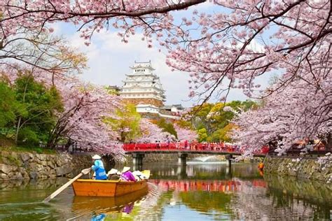 Is Japan a Fun Place to Travel?