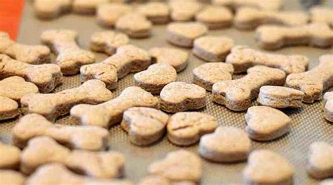 Peanut Butter Dog Treats - Living Vegan