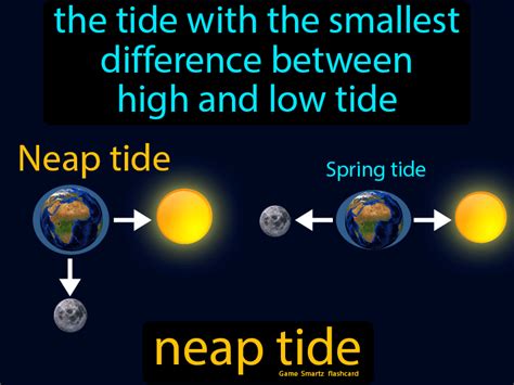 Neap Tide - Easy Science | Neap tides, Easy science, Tide