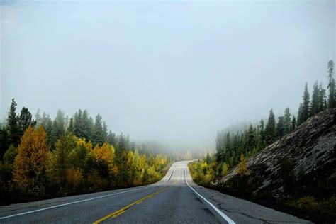 Empty Country Road in Fog · Free Stock Photo