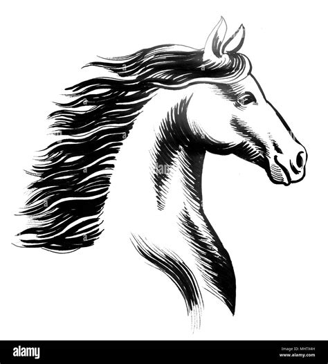 Ink black and white sketch of a beautiful horse head Stock Photo - Alamy