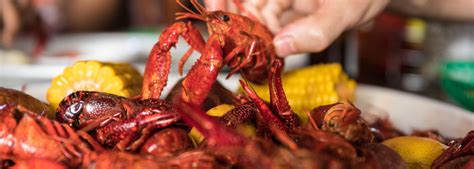 Guide to Crawfish | New Orleans