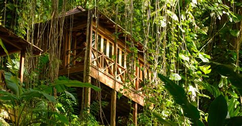 Eco Lodge Vacations Are The Unexpected Experience You Didn't Know You ...