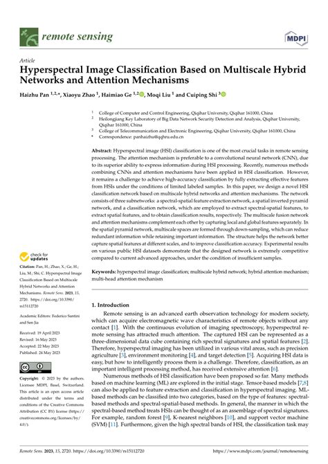 (PDF) Hyperspectral Image Classification Based on Multiscale Hybrid ...