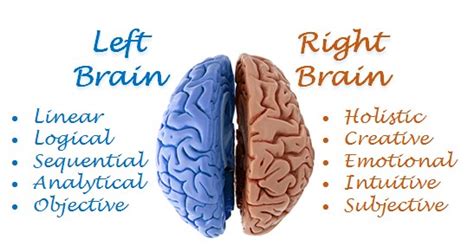 Left brain and right Brain - Characteristics