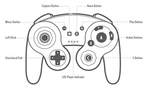 Wireless Gamecube Controller for Nintendo Switch - Overview & Setup | PowerA