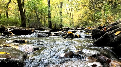 West Branch Susquehanna: A River In Recovery - Trout Unlimited