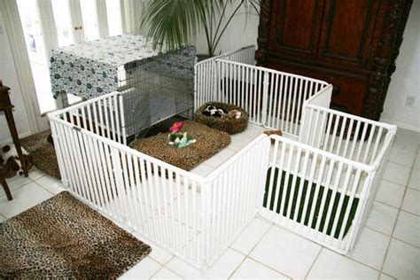 California, USA | Dog playpen indoor, Dog playpen, Puppy pens