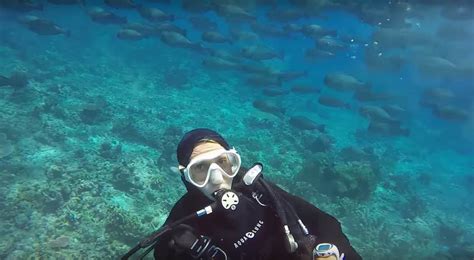 VIDEO: Tubbataha Reef, An Underwater Dreamworld - Philippine Beach Guide