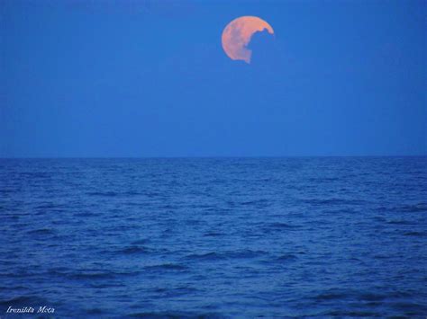 Look at the March full moon! | Earth | EarthSky