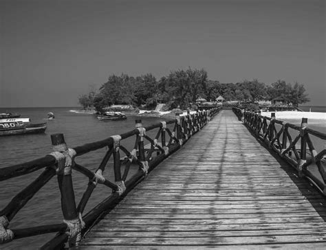 From Dark Past to Tropical Paradise: Discovering Prison Island Zanzibar ...