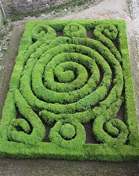 Boxwood Garden Design | AJF Design