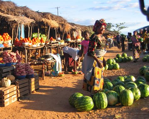 Daily Cup of Adventure: Food Adventures: Zambia