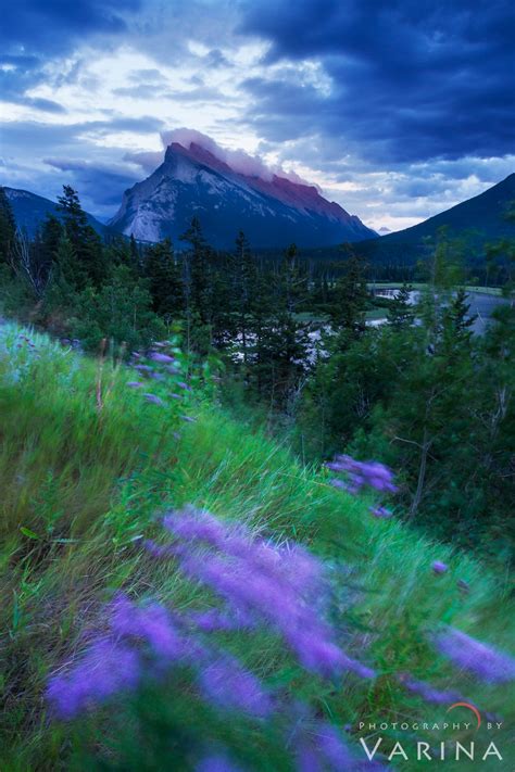 How to photograph during windy conditions