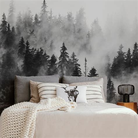 Nature - MURALS | Wall murals, Mountain wall mural, Forest fog