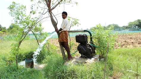 Tamil Nadu farmers fight drought with organic farming | India | Al Jazeera