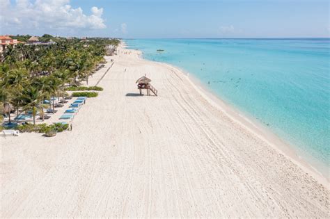 Playa Del Carmen Beaches To Become Safer This Year Thanks To This ...