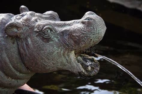 Hippo Statue stock photo. Image of wild, statue, wildlife - 6392880