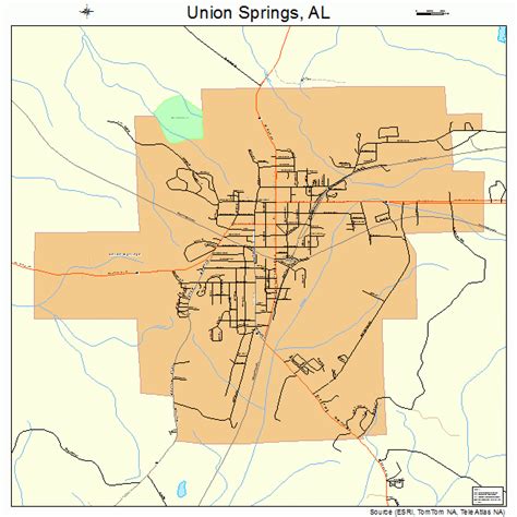 Union Springs Alabama Street Map 0177880