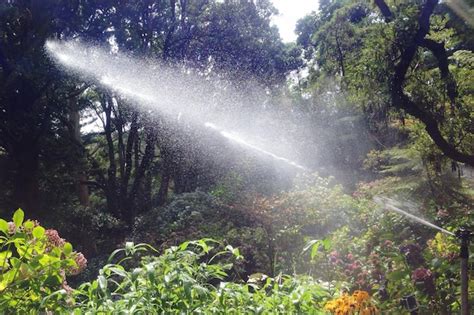 Premium Photo | Water spraying on plants and trees at botanical garden