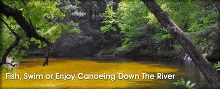 Bearcamp River Campground in Ossipee, NH | Camping sites