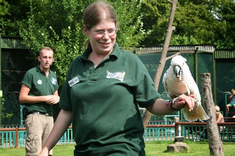 Paradise Zoo News: How to become a Zookeeper: