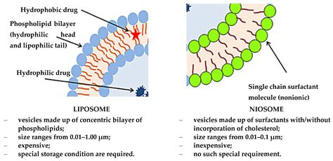 Materials | Free Full-Text | Synthesis and Potential Applications of ...