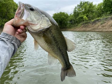 12 Great Bass Fishing Lakes in Oklahoma - Best Fishing in America