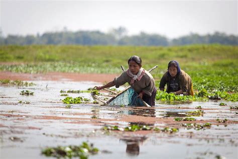 Wetlands in our climate actions: Recommendations for Country Plans