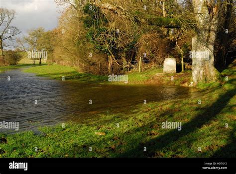 Flooded meadow at Thames Head, the official source of the river Thames ...