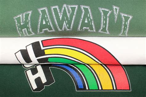 Hawaii Rainbow Warriors 20x30 | Worn But Not Forgotten Sports Art