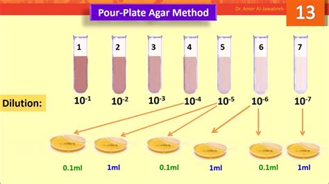 Agar Plate Count Method / Plate Count Agar (Standard Method Agar) M091 ...