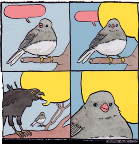 Birds meme Blank Template - Imgflip