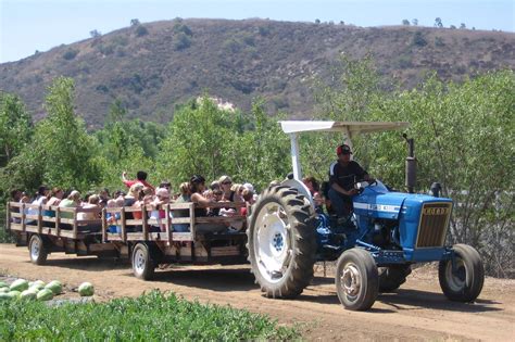 Tanaka Farms | Attractions in Irvine, Los Angeles | Irvine, Farm, Los angeles