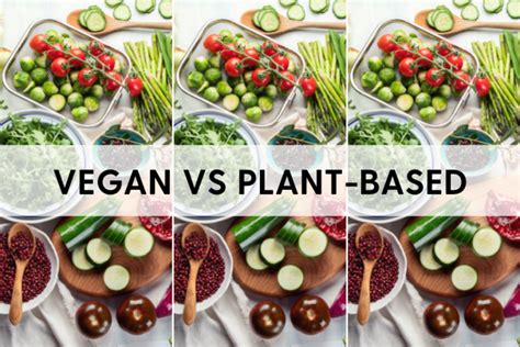 Vegan vs Plant-Based - 6 things you should know - My Healthy Vegan Life