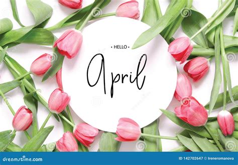 4,372 Hello April Photos - Free & Royalty-Free Stock Photos from Dreamstime