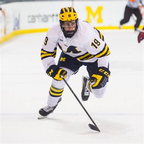 Dylan Larkin [2024 Update]- Hockey, Net Worth & Wife - Players Bio