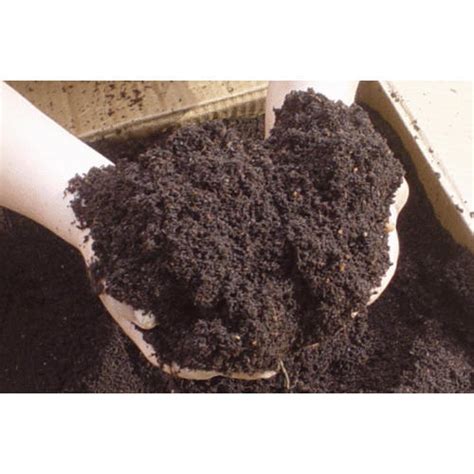 Manufacturer of Bio Organic Fertilizer from Surat by Wisdom Organic Pvt ...