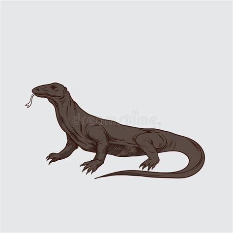 Illustration Vector of Komodo Dragon Stock Vector - Illustration of icon, iguana: 84968642