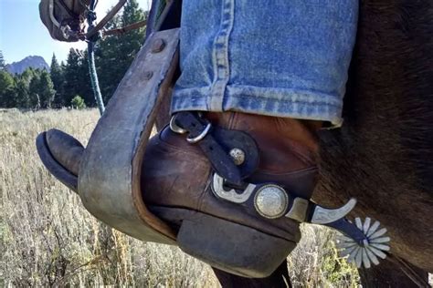 Horse Riding Spurs: Should You Really Be Using Them? – Horse FactBook