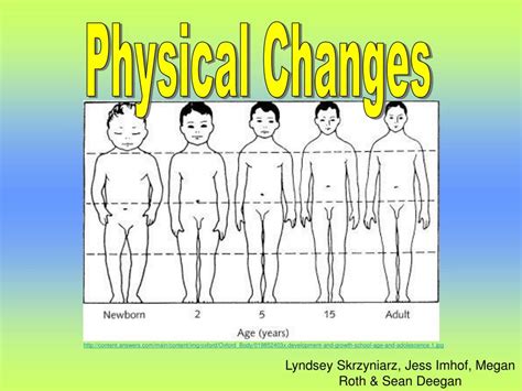 PPT - Physical Changes PowerPoint Presentation, free download - ID:4303274