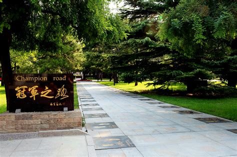 Beijing Sport University BSU - China Admissions