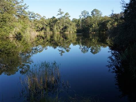 Wekiva Springs State Park, FL. Bike, Hike. E-Z Map, Photos.