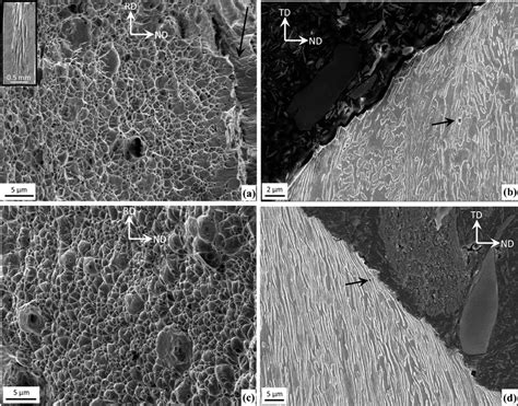 a Ductile fracture surface of a TD specimen tested at room temperature ...