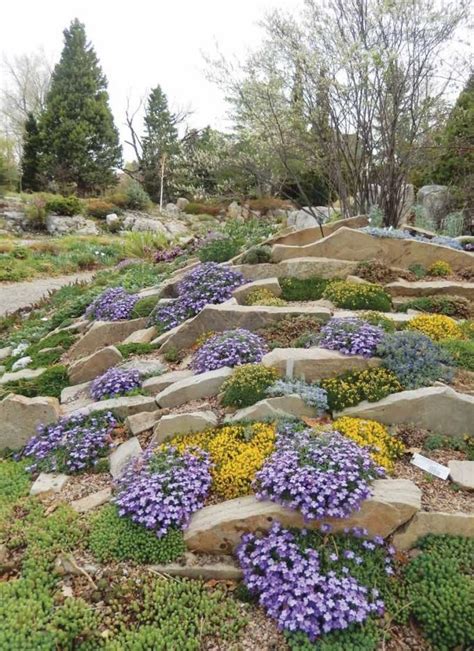 Public Rock Gardens across Colorado | Article | North American Rock Garden Society | Rock garden ...