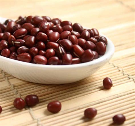 Azuki beans | Japanese Recipes Wiki | FANDOM powered by Wikia