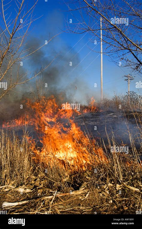 A grass fire burning through dry grass Stock Photo - Alamy